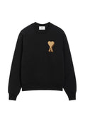 Pull Ami Paris Éponge