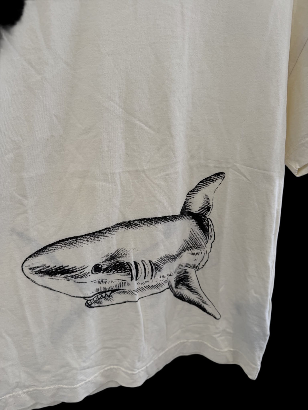 T-shirt Palm angels